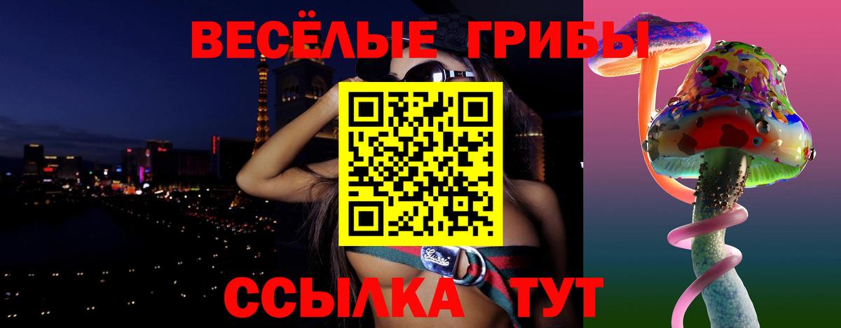 Первоуральск  Галлюциногенные грибы Psilocybine cubensis  Вход с VPN 